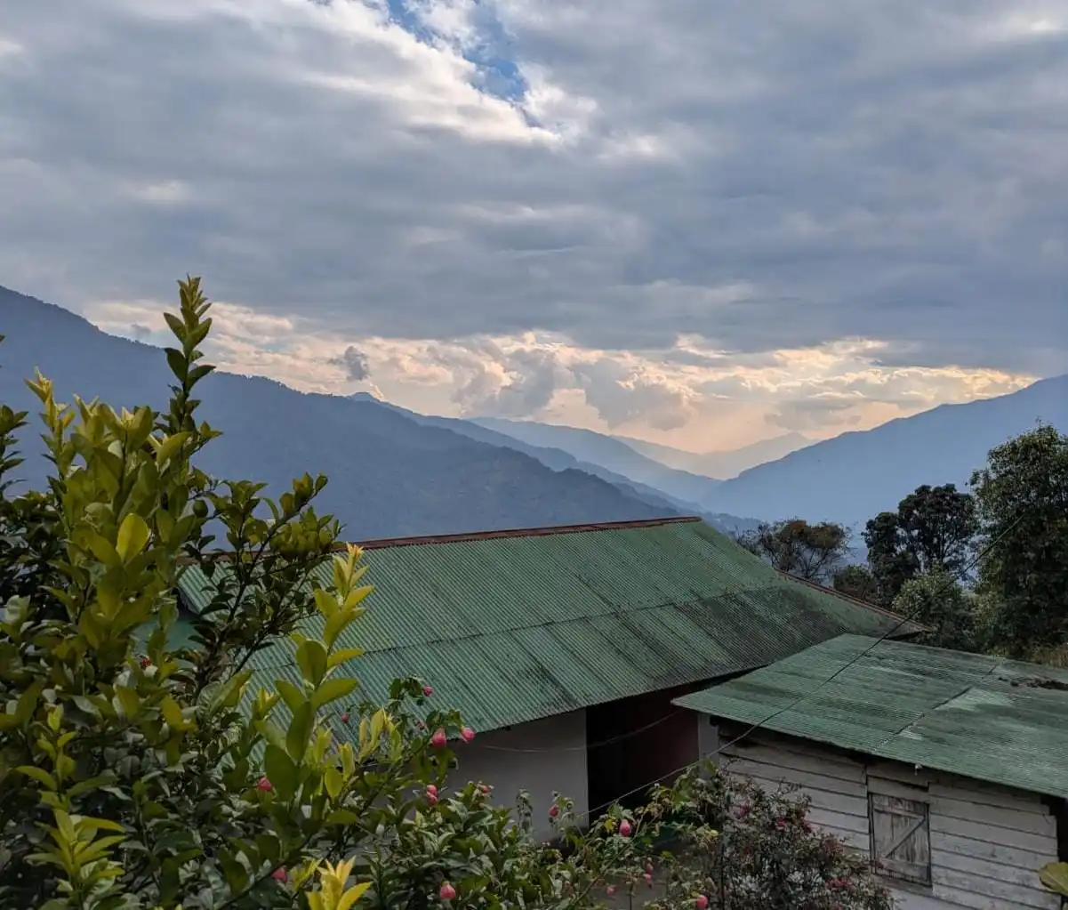 Green tin roofs, flowers and blue ridges at dusk