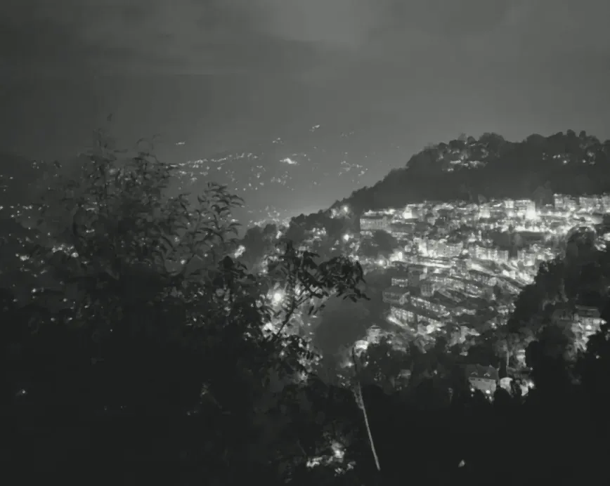 Hill-town lights stacked on a ridge at night (toned)